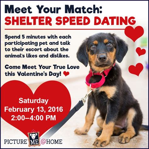 shelter speed dating